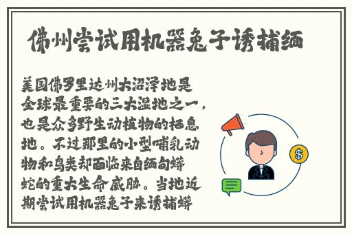 杭州网红反差婊在线