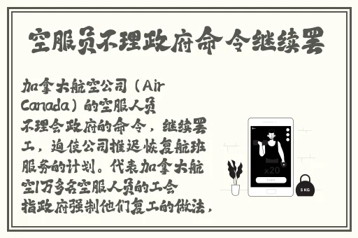 久久精品久久精品中文字幕